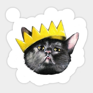 Black Cats Rule Sticker